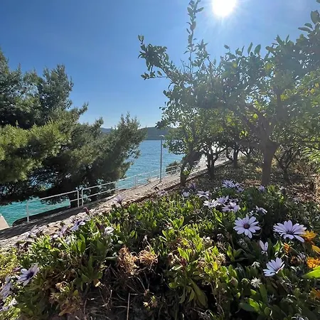 בית הארחה Bianca With Private And Parking נאום