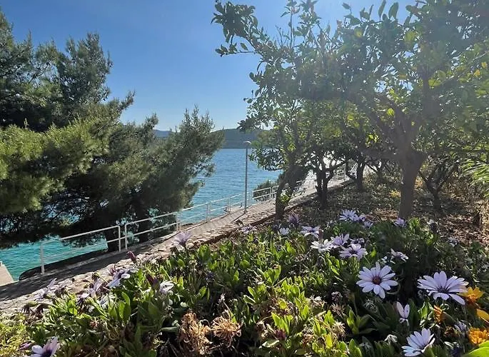 ゲストハウス Bianca With Private And Parking ネウム